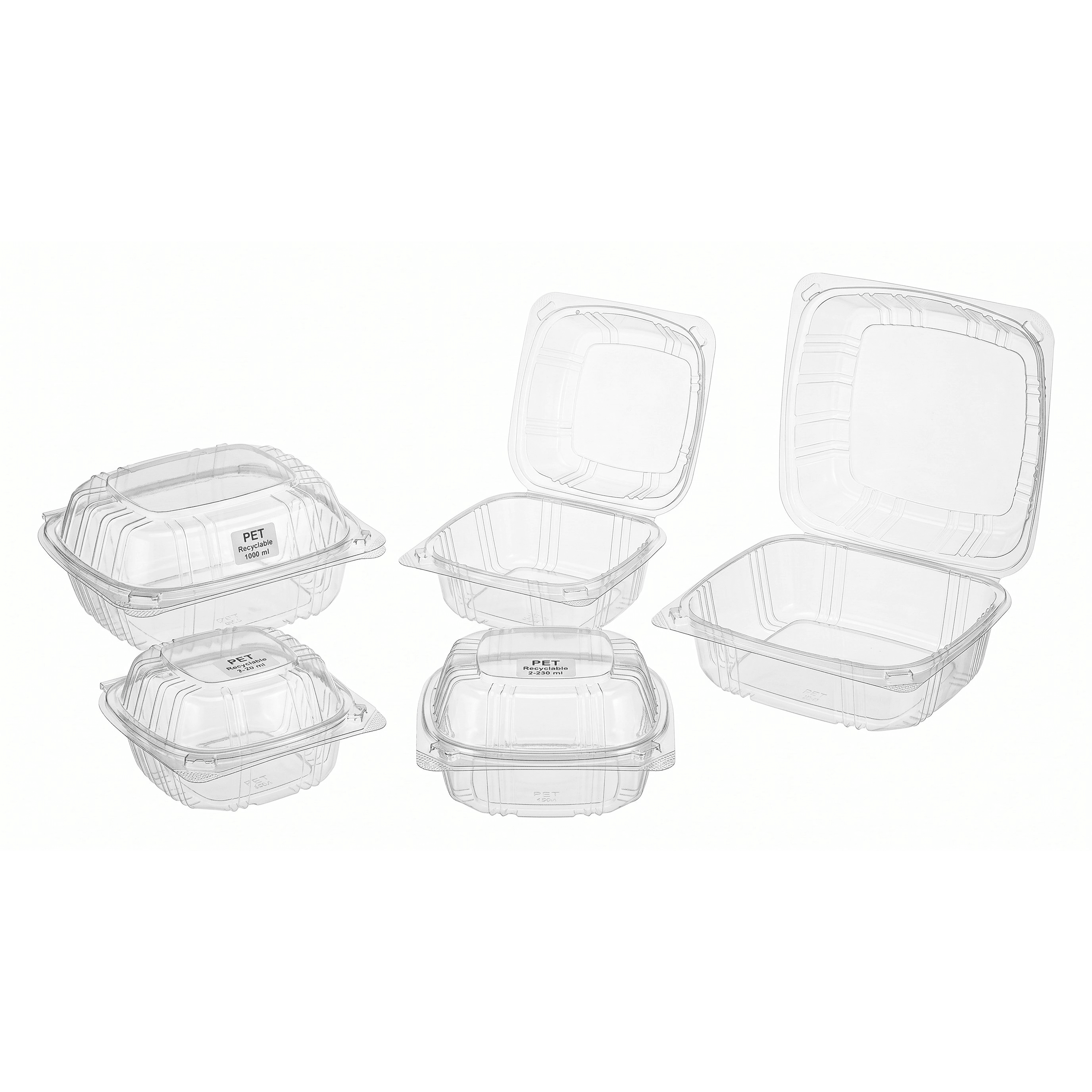 Clear PS Hinged Containers